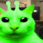 alien nigga cat