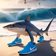 зам директор