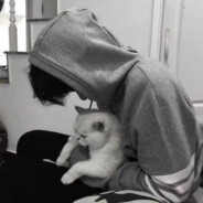 再见已是广告弹窗