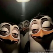 los Pingwinos