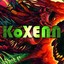 KoXENN Wildcase.com