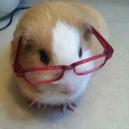 天降五百万马上发大财