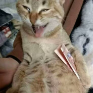 哥的焊枪焊不稳你的芯