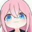 bocchi