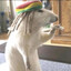 onlyganja