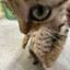 `Lucky