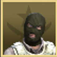 电脑玩家  提米