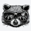 Cunning_Raccoon