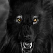 (OMA) The Dark WOLF