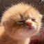 Sleepy