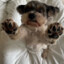 Chodie's avatar
