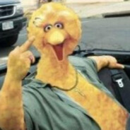 Big Bird