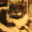 Mateo Francesco Corleone