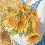 恶灵姐姐的洞不如艾许姐姐的缝