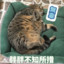 小小小小螺号