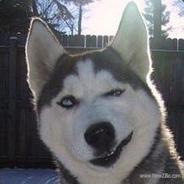 注意我这波操作