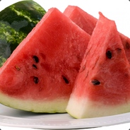 Jaester | Return of the Mack