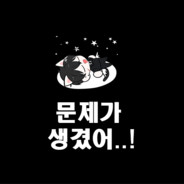 문제가 생긴 대회계정