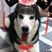 年少挽剑世无双