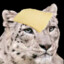 cheese snow leopard