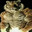 tigr