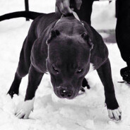 million deneg - steam id 76561198291413697