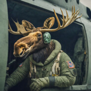 KillerMoose avatar
