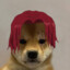 Dog D. Shanks