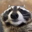 s n o o p