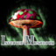 Infected Mushroom