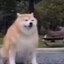 ChiefQueef