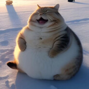 爱的本质是自由意志的