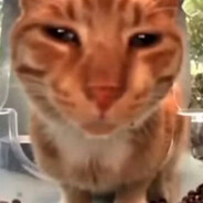 piupiu