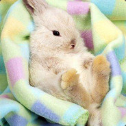 bidou - steam id 76561197960479702