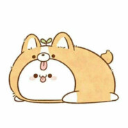 想你的一千零一夜