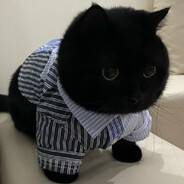 ThroatYogurt - steam id 76561198436048213