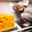 Drake&#039;s Cheese