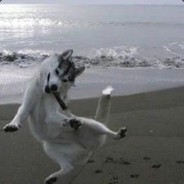 3222329548