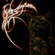 DDCAT
