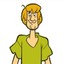 Shaggy