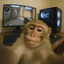 QTPG.Mr breast