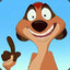 TIMON