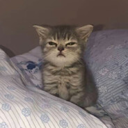 名字太长会被发现