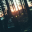 -PiXeL-