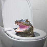 Skibidi Toilet Croc