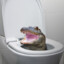 Skibidi Toilet Croc