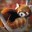 redpanda141
