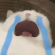 要不你还是把我端了吧