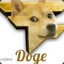 Faze Doge