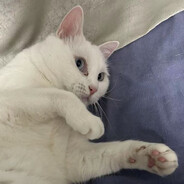 椰子...嘿嘿...我的椰子..